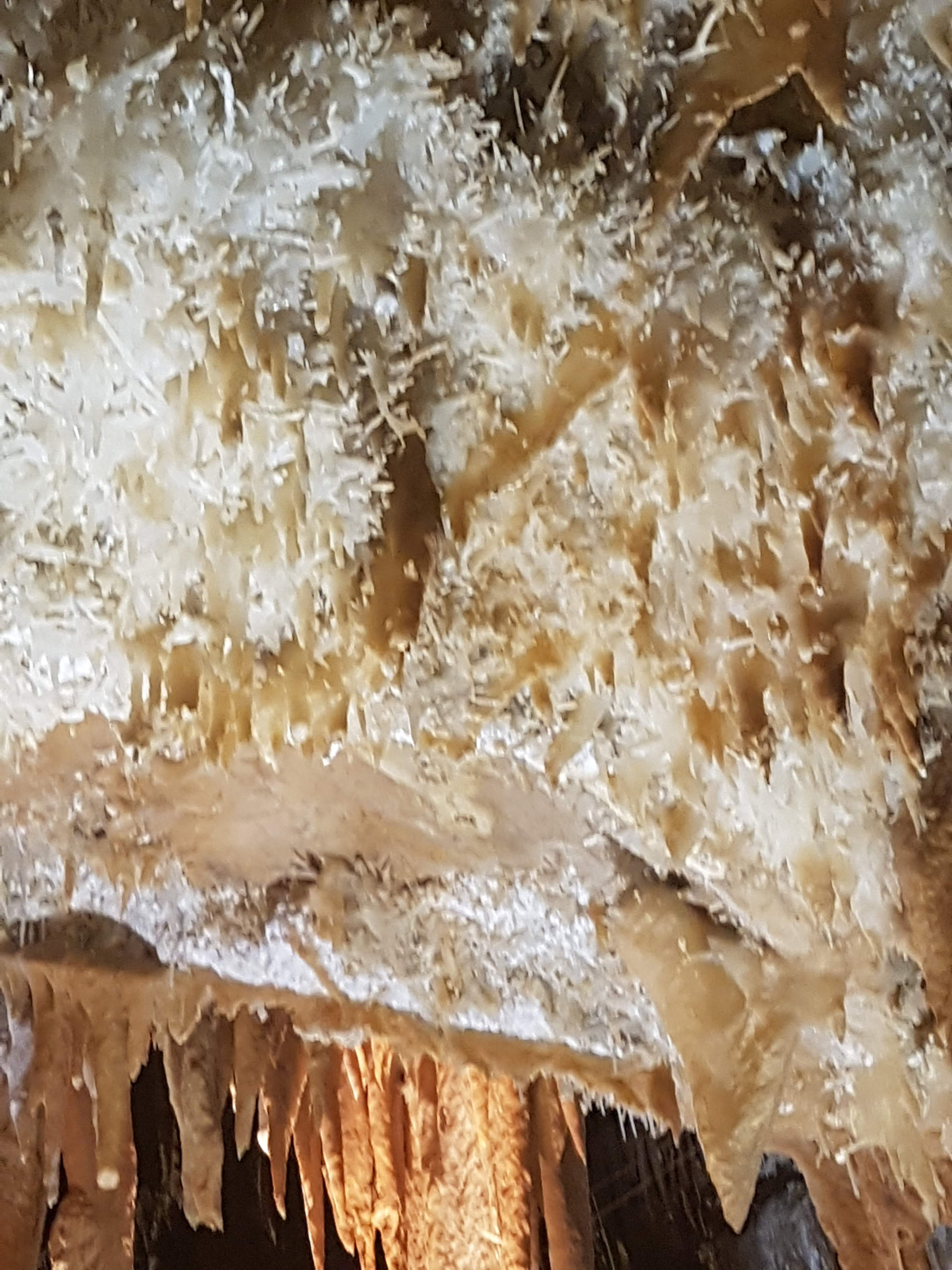 Photo n° 12 de l'avis de Johanna.A fait le 12/06/2019 à 17:26