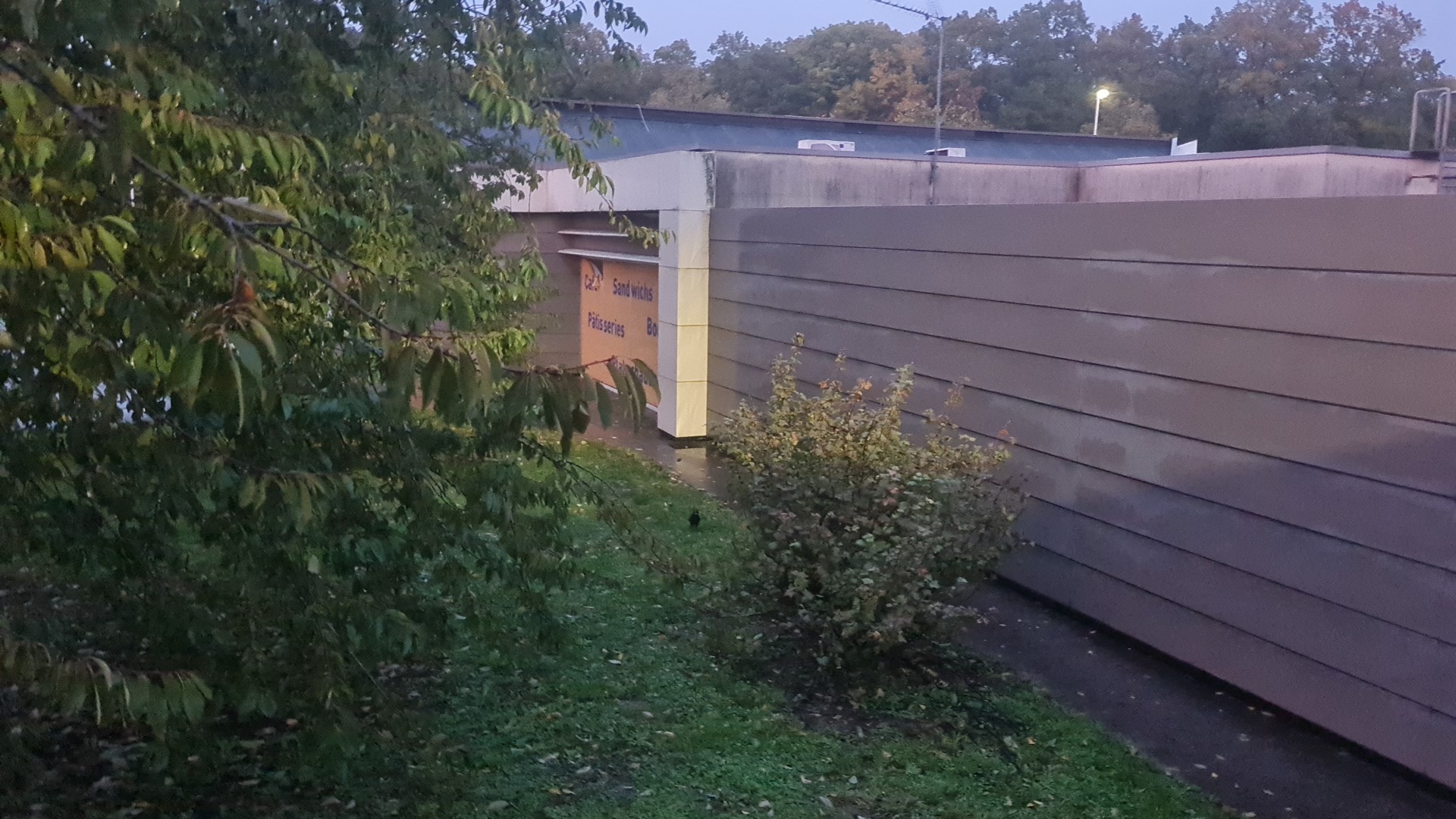 Photo n° 1 de l'avis de Cosmin.o fait le 23/10/2022 à 16:36