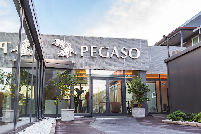 Centro Pegaso