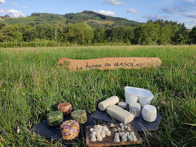 Ferme de Masolat à Dompierre-les-Ormes