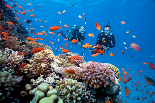 Aqua Adventures, 362 Lancaster Ave, Frazer, PA 19355, USA, 