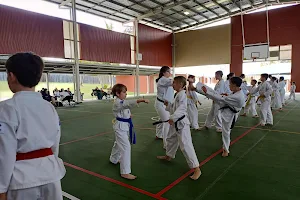 Yong-gi Taekwondo Australia image