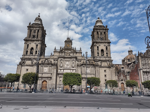 Tiendas de setas en Ciudad de Mexico