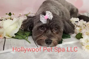 Hollywoof Pet Spa & Boutique image