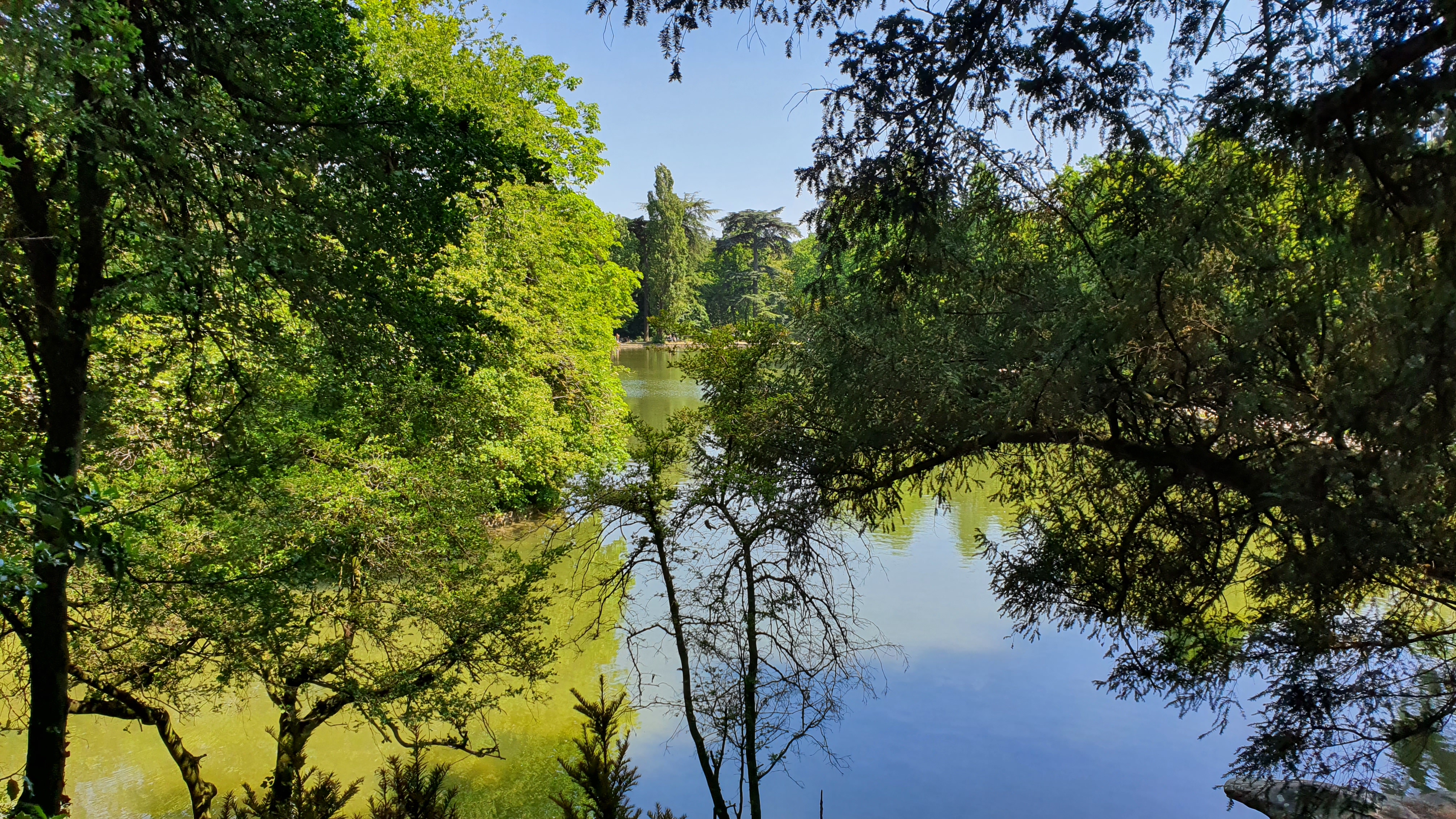 Photo n° 6 de l'avis de Frédérick.m fait le 09/06/2020 à 18:55