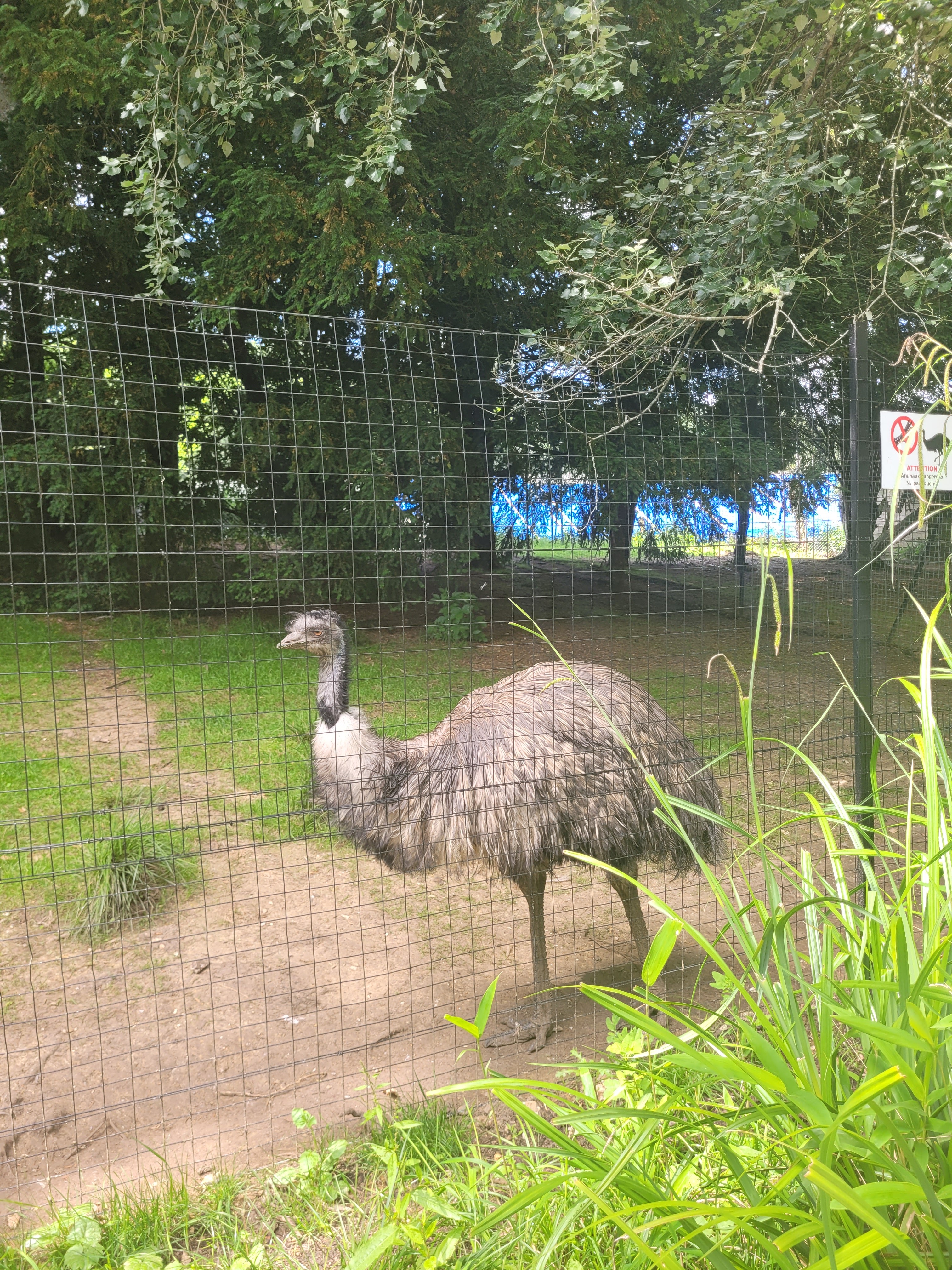 Photo n° 31 de l'avis de Vero.o fait le 14/06/2022 à 11:47