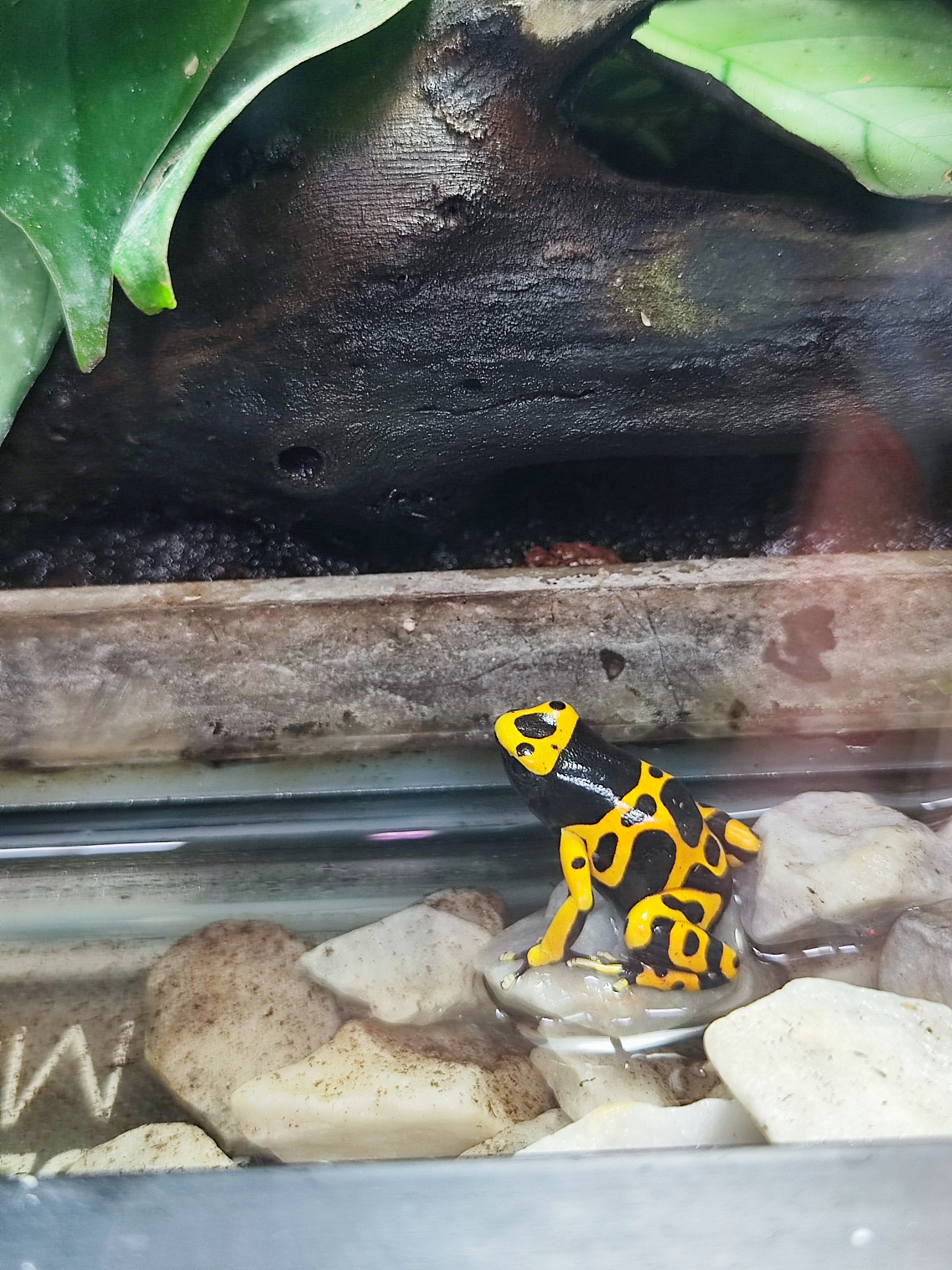 Photo n° 4 de l'avis de Aurelie.o fait le 03/08/2023 à 21:29