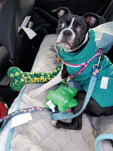 Pet Supply Store «Croton Pet Station», reviews and photos, 420 S Riverside Ave, Croton-On-Hudson, NY 10520, USA