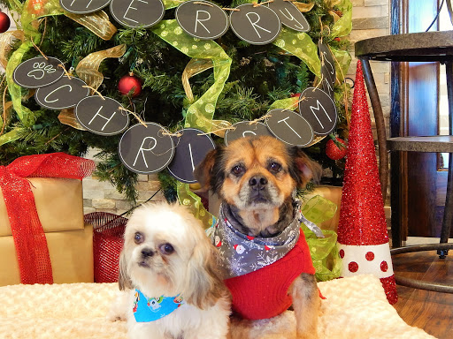 Pet Groomer «Woof Gang Bakery Rockwall», reviews and photos, 832 Steger Towne Rd, Rockwall, TX 75032, USA