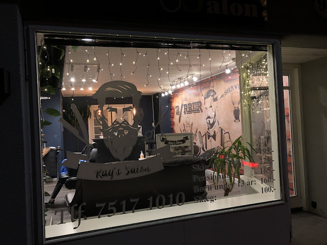 Ray's Salon - Vejen