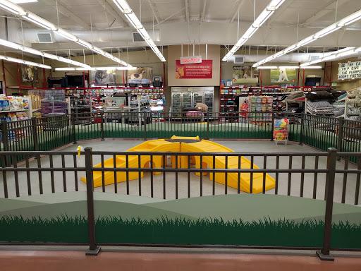 Pet Food Express image