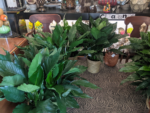 Florist «Blossom Shop Inc.», reviews and photos, 2001 Devine St, Columbia, SC 29205, USA