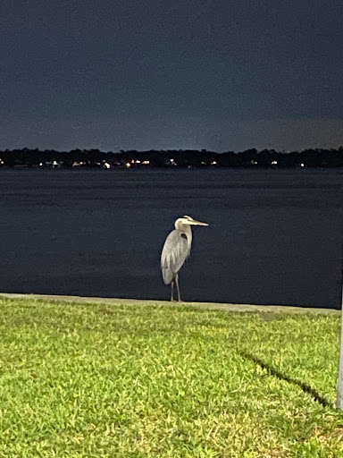 Memorial Park «Memorial Park», reviews and photos, 1620 Riverside Ave, Jacksonville, FL 32204, USA