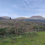 Photo n°3 de l'avis de Roman.i fait le 29/12/2023 à 20:11 sur le  Kona à Ercolano