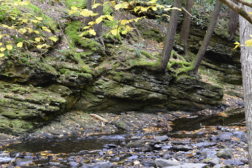 Pet Store «Abrams and Weakley General Store for Animals», reviews and photos, 3963 N 6th St, Harrisburg, PA 17110, USA