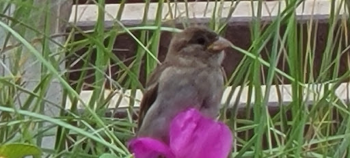 Amusement Park «Palace Playland», reviews and photos, 1 Old Orchard St, Old Orchard Beach, ME 04064, USA