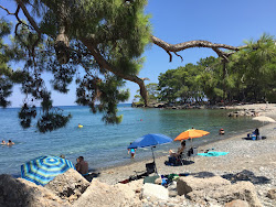 Foto von Phaselis Liman Kalintilari Beach und die siedlung