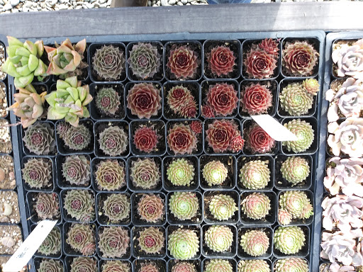 Building Materials Store «Silverado Building Materials», reviews and photos, 460 S Stockton Ave, Ripon, CA 95366, USA