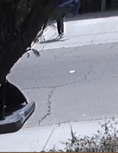 Moving and Storage Service «All My Sons Moving & Storage», reviews and photos, 22035 N Black Canyon Hwy, Phoenix, AZ 85027, USA