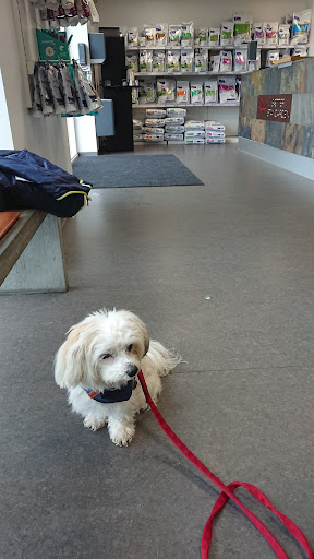 Animal Hospital Gråsten and Sønderborg I / S in Sønderborg, Sønderborg