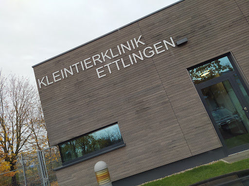 Veterinary clinic for surgery, practice for small animals unter Ettlingen, 