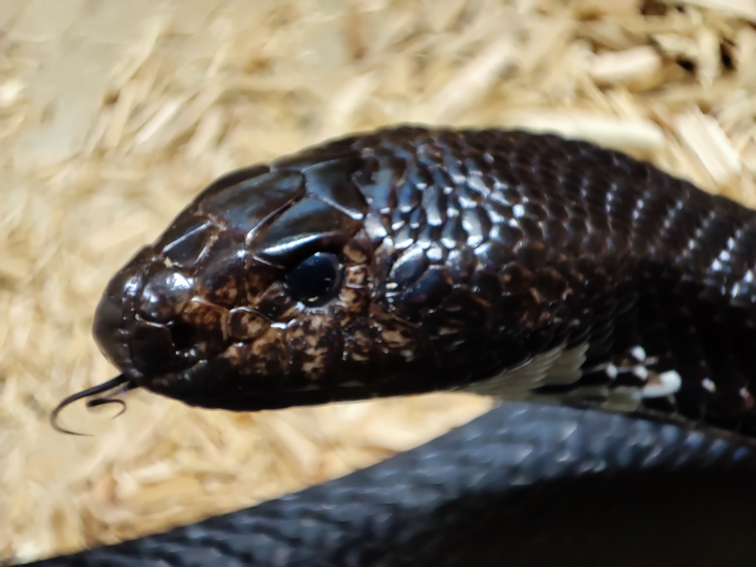 Photo n° 8 de l'avis de Kévin.u fait le 27/02/2023 à 19:47