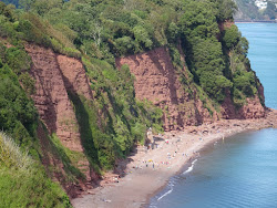 Ness Cove beach'in fotoğrafı geniş bir kıyı şeridi ile birlikte