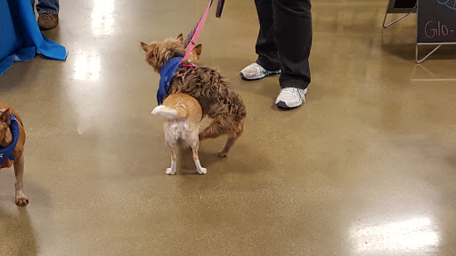 Pet Supply Store «PetSmart», reviews and photos, 4824 211th St, Matteson, IL 60443, USA