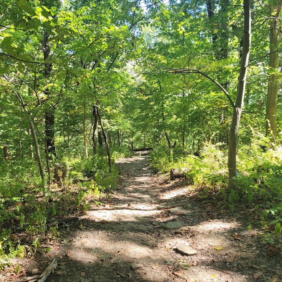 Fort Thomas Landmark Tree Trail