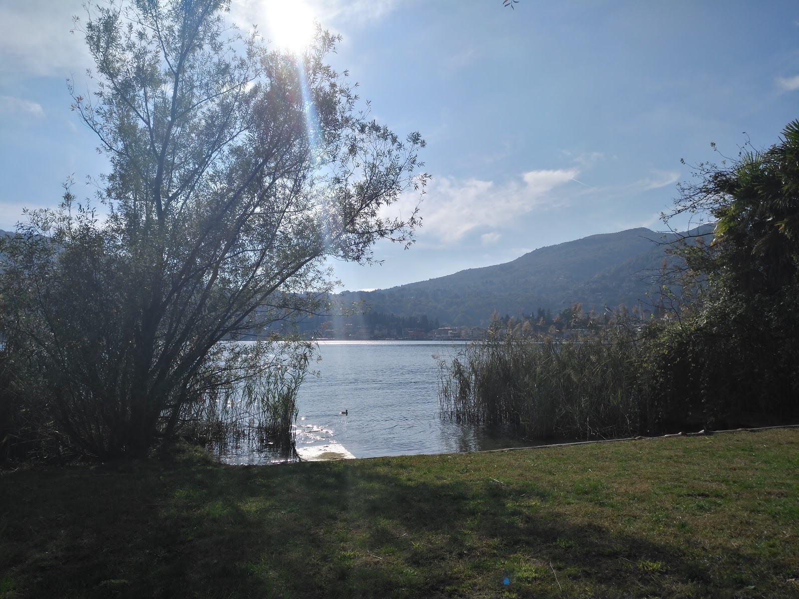 Foto von Strandbad Thun "Strämu" annehmlichkeitenbereich