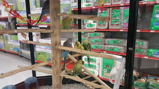 Pet Supply Store «Petco Animal Supplies», reviews and photos, 500 E Sandford Blvd #570, Mt Vernon, NY 10550, USA