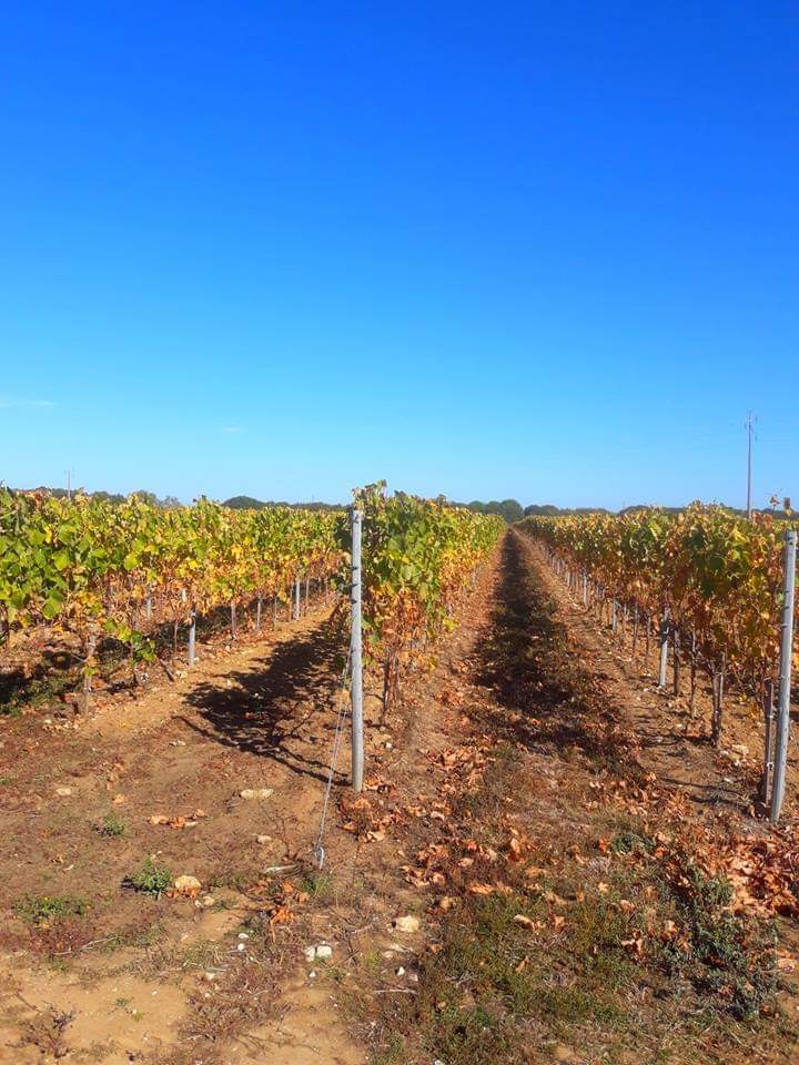 Photo n° 2 de l'avis de Eric.A fait le 26/10/2018 à 06:54
