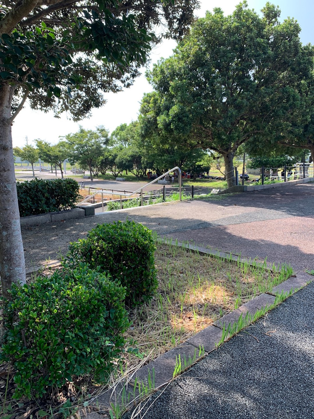 雄踏総合公園 多目的スポツ広場 市内で浜松市西区