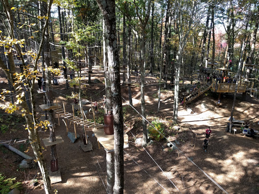 Park «TreeTop Adventures», reviews and photos, 200 New Boston Dr, Canton, MA 02021, USA