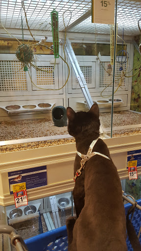Pet Supply Store «PetSmart», reviews and photos, 291 Skokie Blvd, Northbrook, IL 60062, USA