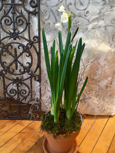 Florist «The Flower Lady», reviews and photos, 1417 Underwood Ave, Milwaukee, WI 53213, USA