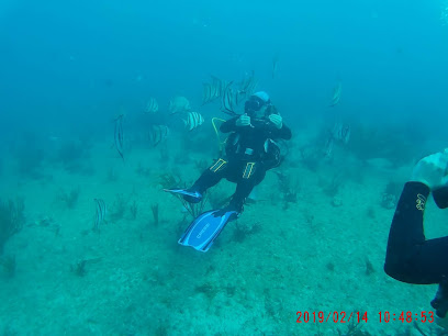 Playa Scuba Dive Center