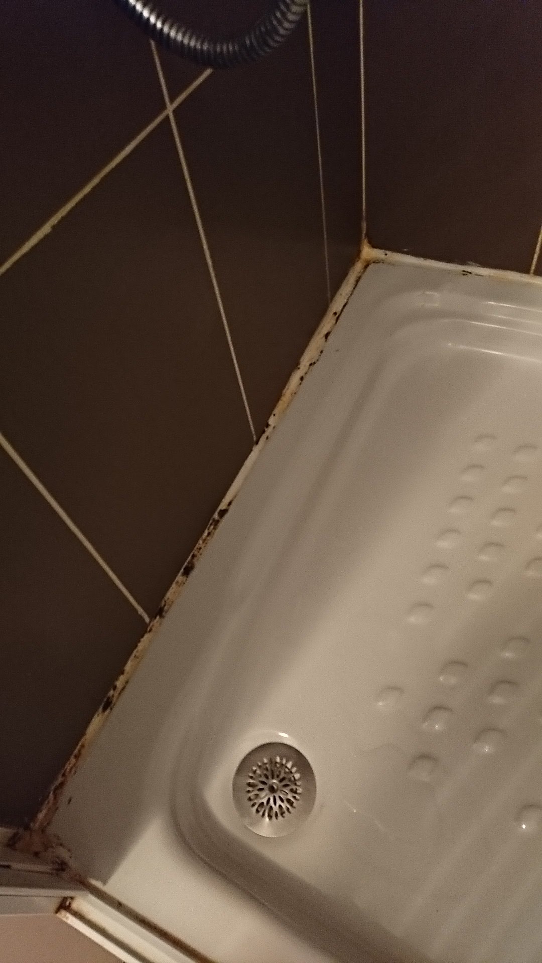 Photo n° 2 de l'avis de Chabin'.w fait le 25/08/2018 à 15:51