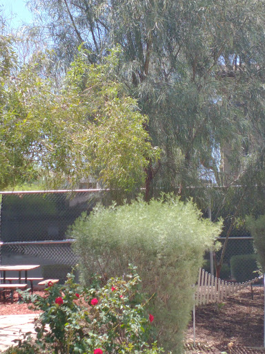 Social Services Organization «The Shade Tree», reviews and photos