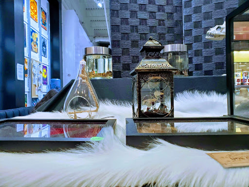 Explore big time rush tattoo ideas, creative tattoo ideas in El Paso, available at Piercing polis