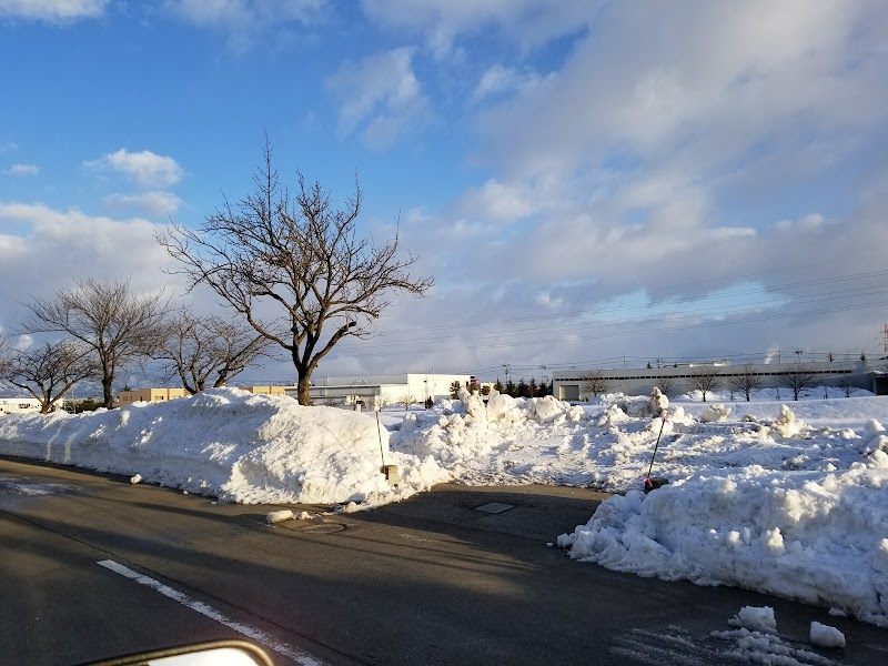 村山野川 おらだの川 河川公園