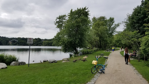 Park «Spy Pond Park», reviews and photos, Pond Lane, Arlington, MA 02474, USA