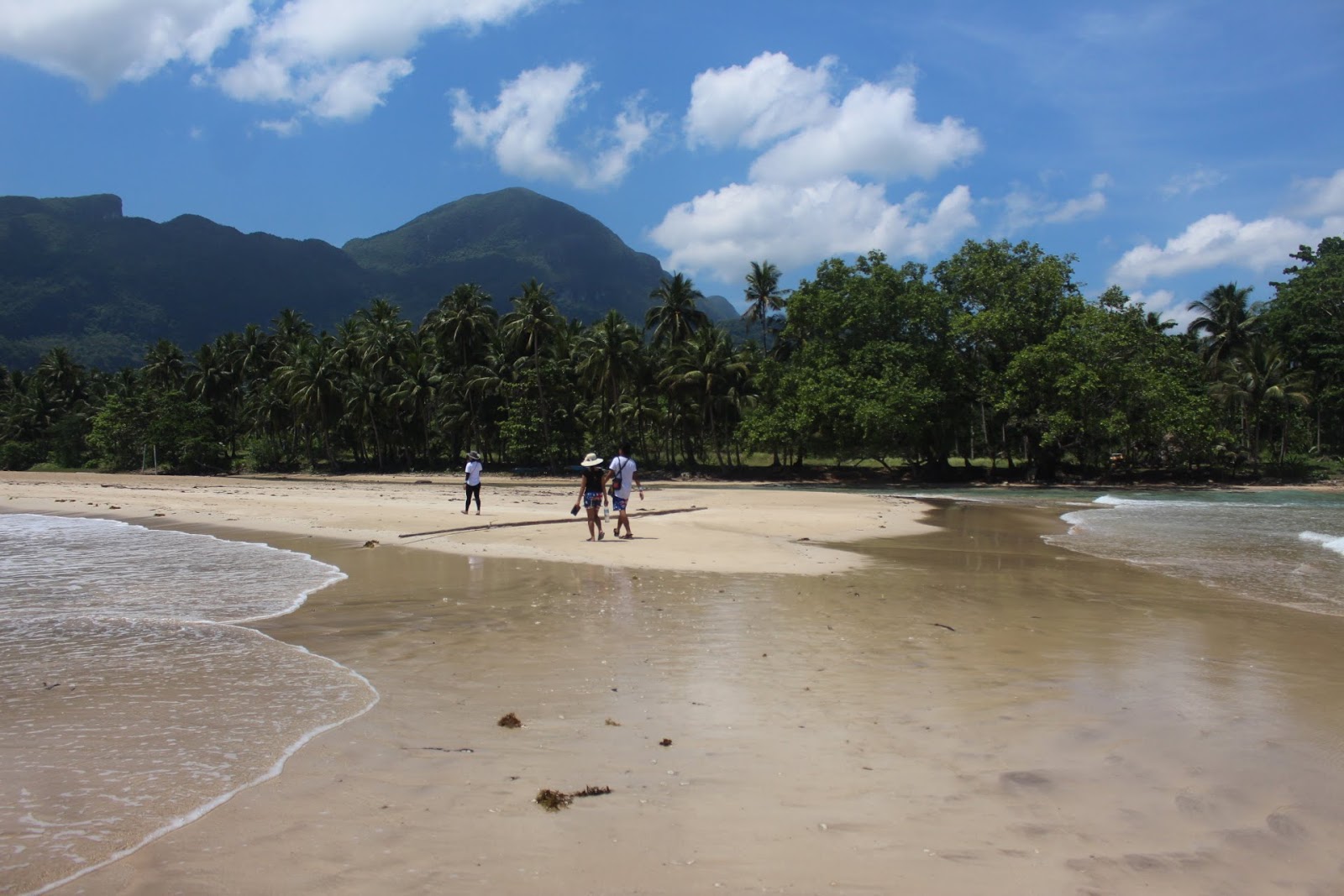 Foto di Manlipien Beach ubicato in zona naturale