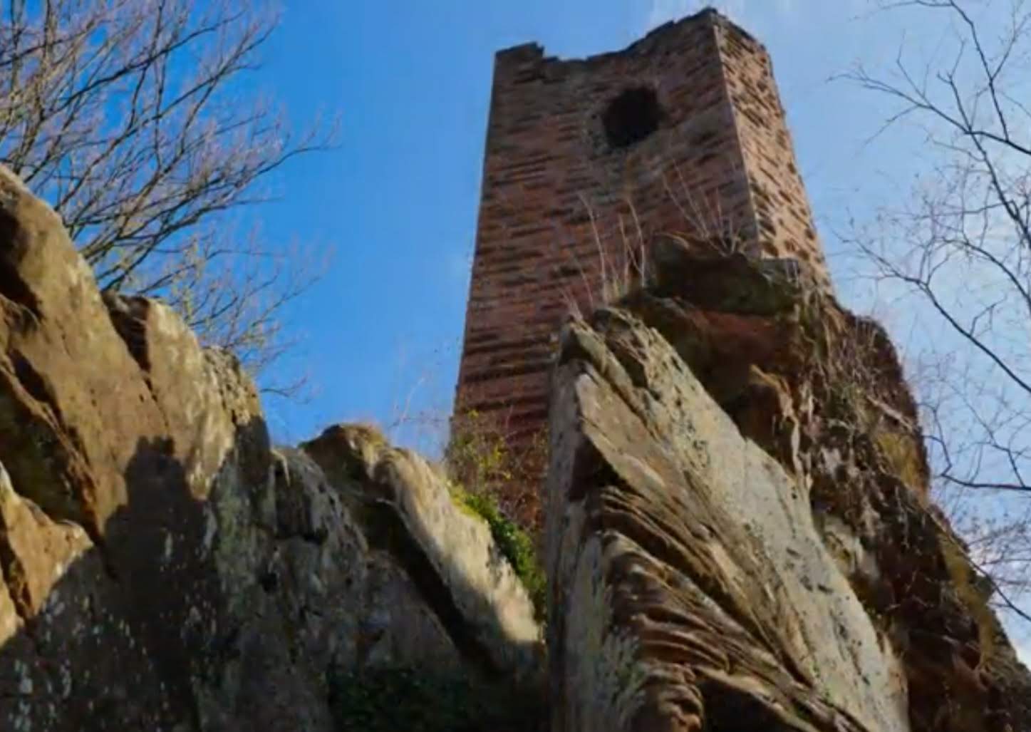 Photo n° 8 de l'avis de channel.a fait le 12/02/2022 à 14:12