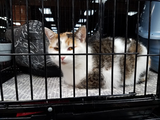 Pet Store «Pet Valu», reviews and photos, 55 Greentree Dr, Dover, DE 19904, USA