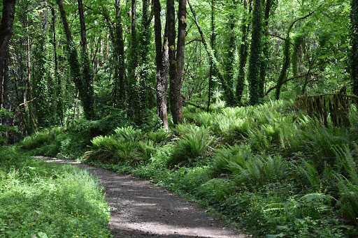 Parques naturales en Portland