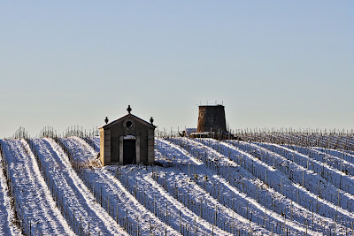 SCV Les Crus de Faugères - Mas Olivier à Faugères
