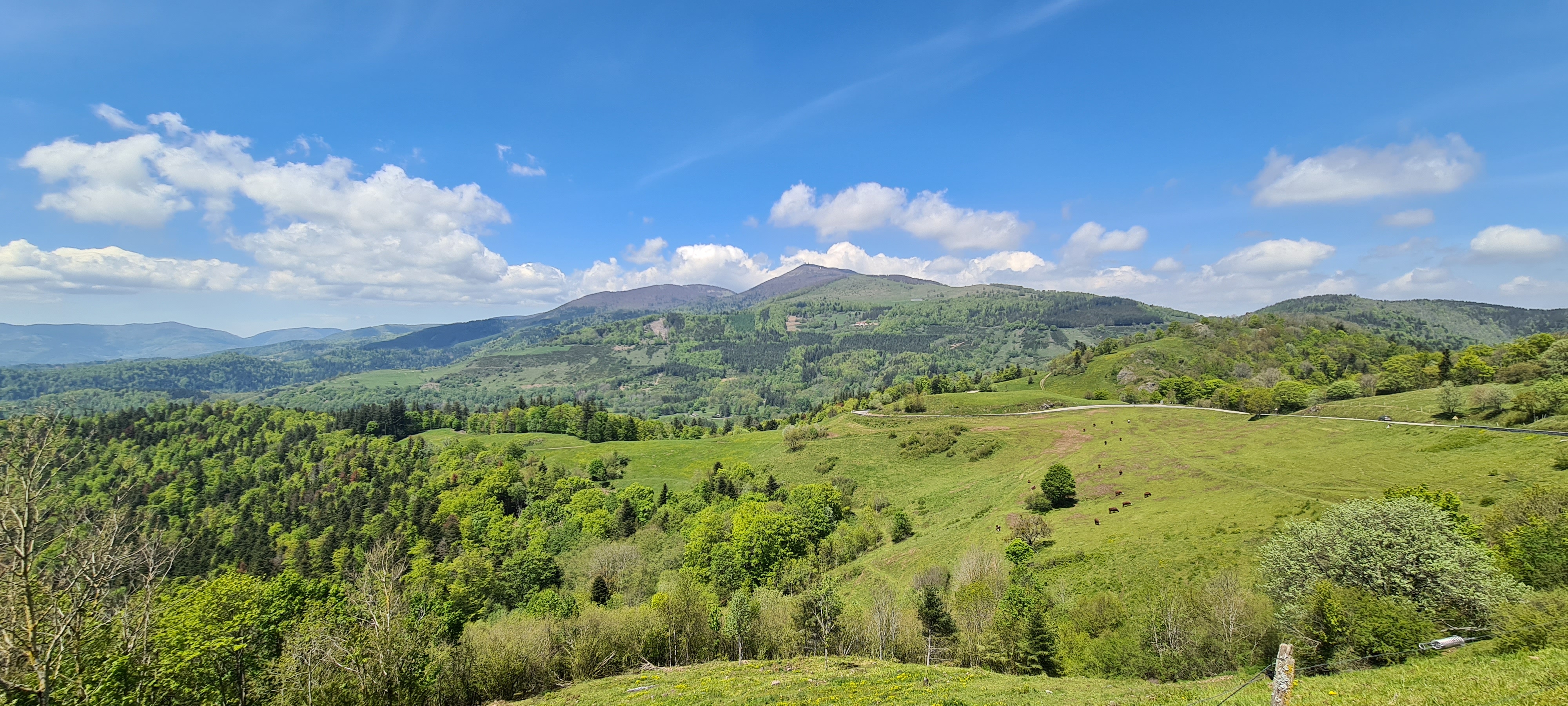 Photo n° 26 de l'avis de Jean.r fait le 29/05/2021 à 15:01