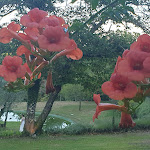 Photo n°2 de l'avis de Bernd.� fait le 10/09/2022 à 20:16 sur le  The Fox House à Beirós