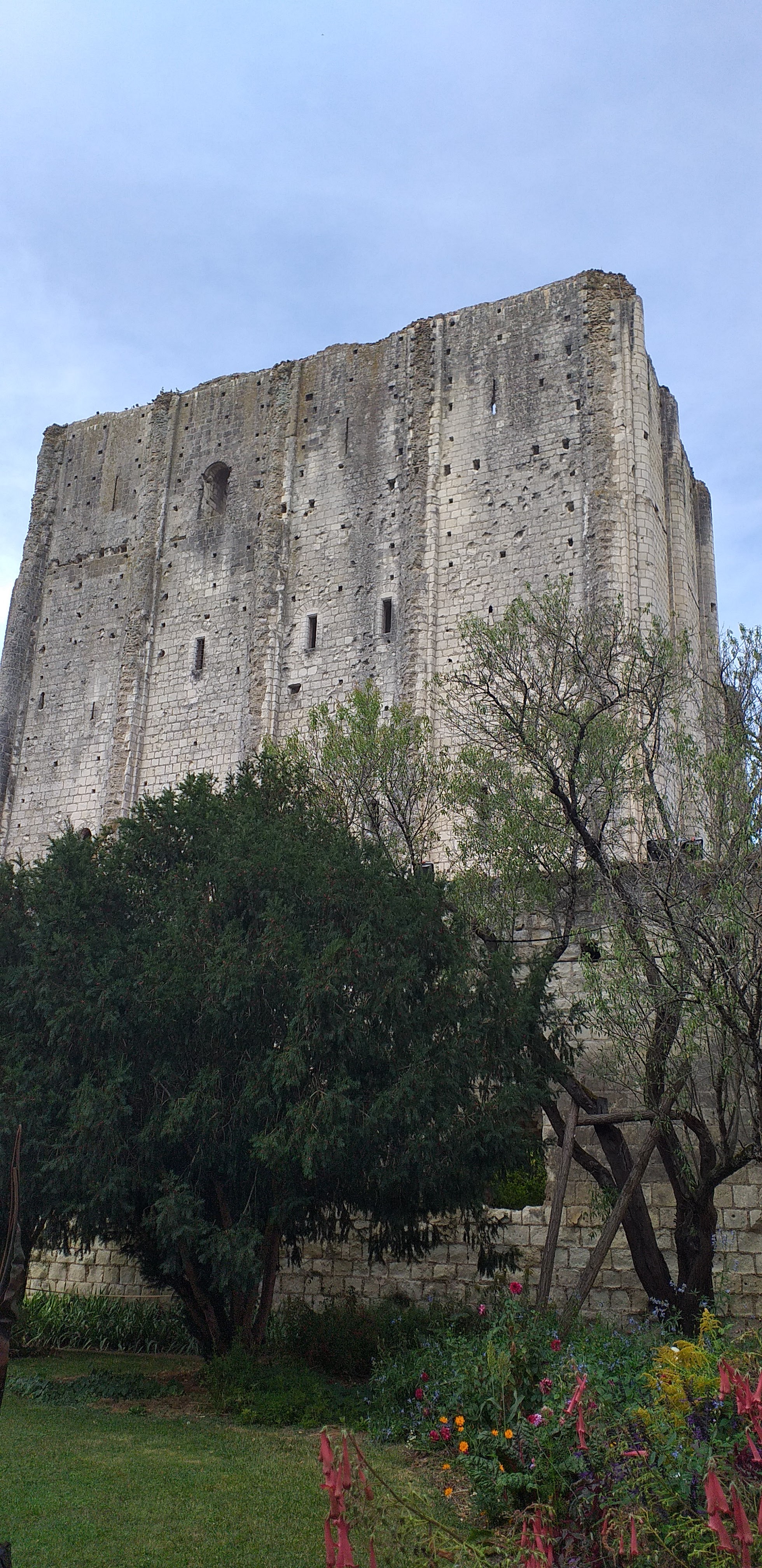 Photo n° 3 de l'avis de CLOUET.A fait le 21/09/2020 à 20:05